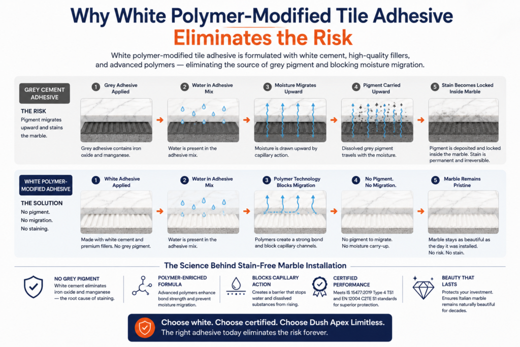 Why White Polymer-Modified Tile Adhesive Eliminates the Risk