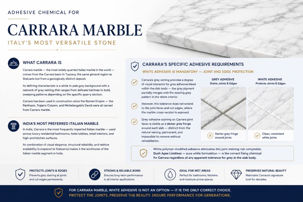dhesive Chemical for Carrara Marble — Italy's Most Versatile Stone
What Carrara is

Carrara marble — the most widely quarried Italian marble in the world — comes from the Carrara basin in Tuscany, the same general region as Statuario but from a geologically distinct deposit. Its defining characteristic is a white to pale grey background with a network of grey veining that ranges from delicate hairlines to bold, sweeping patterns depending on the specific quarry section. Carrara has been used in construction since the Roman Empire — the Pantheon, Trajan's Column, and Michelangelo's David were all carved from Carrara marble.

In India, Carrara is the most frequently imported Italian marble — used across luxury residential bathrooms, hotel lobbies, retail interiors, and high-end kitchen surfaces. Its combination of visual elegance, structural reliability, and relative availability (compared to Statuario) makes it the workhorse of the Italian marble segment in India.

Carrara's specific adhesive requirements

White adhesive is mandatory — joint and edge protection. Carrara's grey veining provides a degree of visual tolerance for grey adhesive bleed within the slab body — the grey pigment partially merges with the existing grey pattern in the stone interior. However, this tolerance does not extend to the joint faces and cut edges, where the marble cross-section is exposed. Grey adhesive staining on Carrara joint faces is visible as a darker grey fringe around each slab — distinct from the natural veining, permanent, and impossible to remove without reinstallation.

White polymer-modified adhesive eliminates this joint staining risk completely. Dush Apex Limitless — pure white formulation — is the correct fixing chemical for Carrara regardless of any apparent tolerance for grey in the slab body.