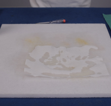 Dush Stain-Ex Step 3 — remove plastic and clean treated marble surface